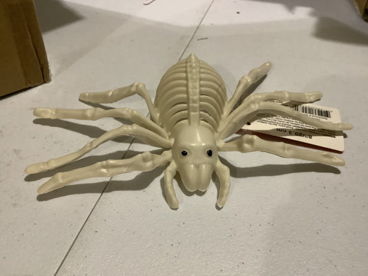 *Skeleton Spider