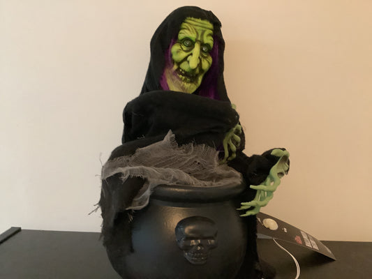 Animated Witch with Cauldron