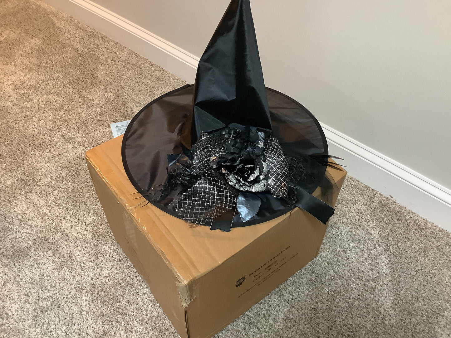 Witch Hat