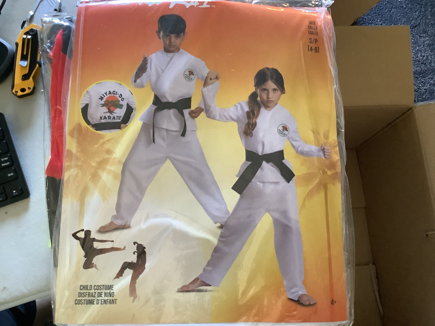 *Cobra Kai - Miyagi-Do Costumes - Child Small (4-6)