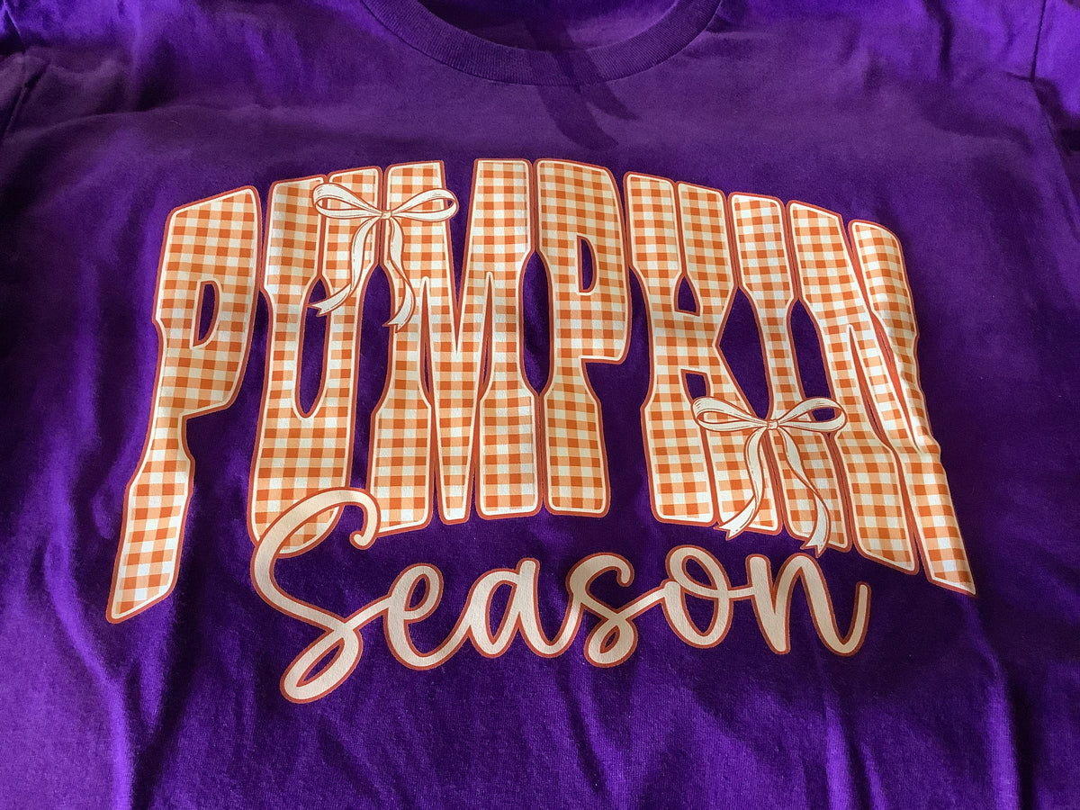 Pumpkin Season (Purple) T-shirt - Adult Large