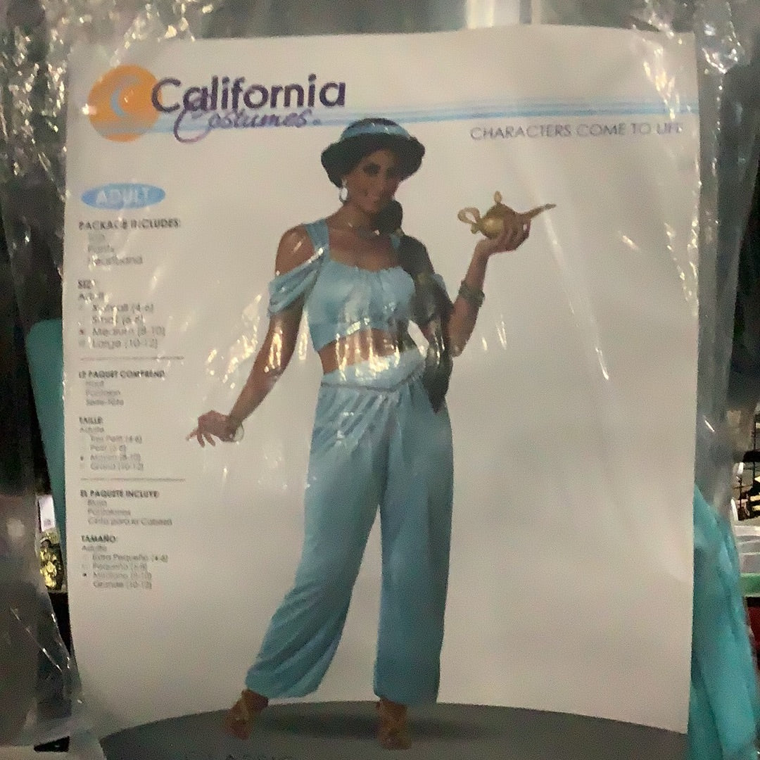 *Classic Arabian Princess - Adult