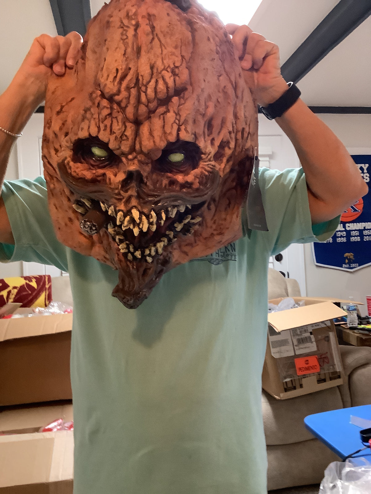 Mr. Pumpkin