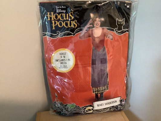 Hocus Pocus - Mary Adult Small