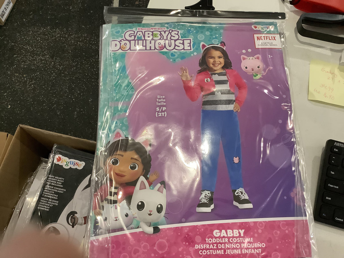 DreamWorks Gabby’s Dollhouse - Gabby - Child Medium (3T-4T)