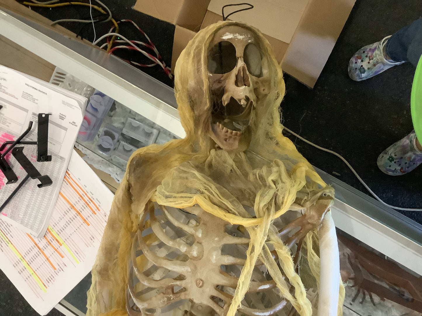 Hanging Half Body Skeleton