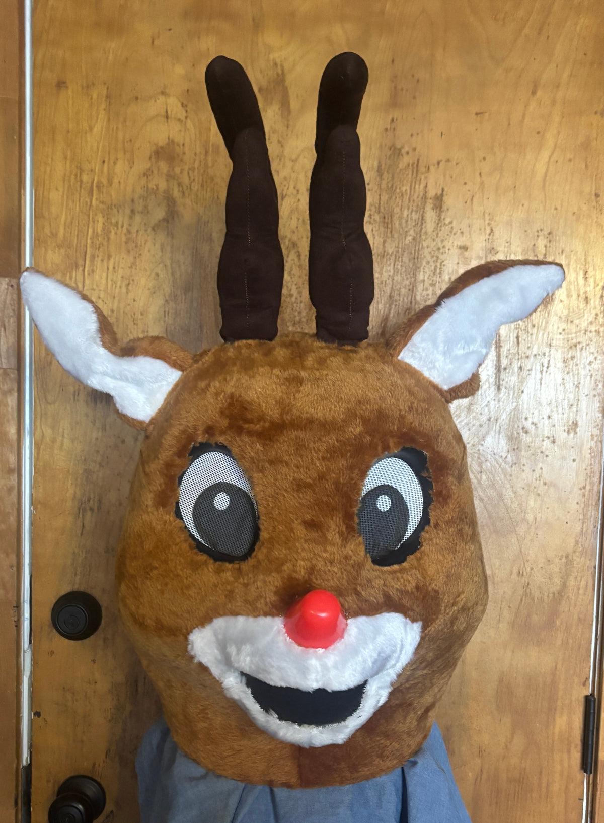 Rudolph Deluxe Costume - Adult