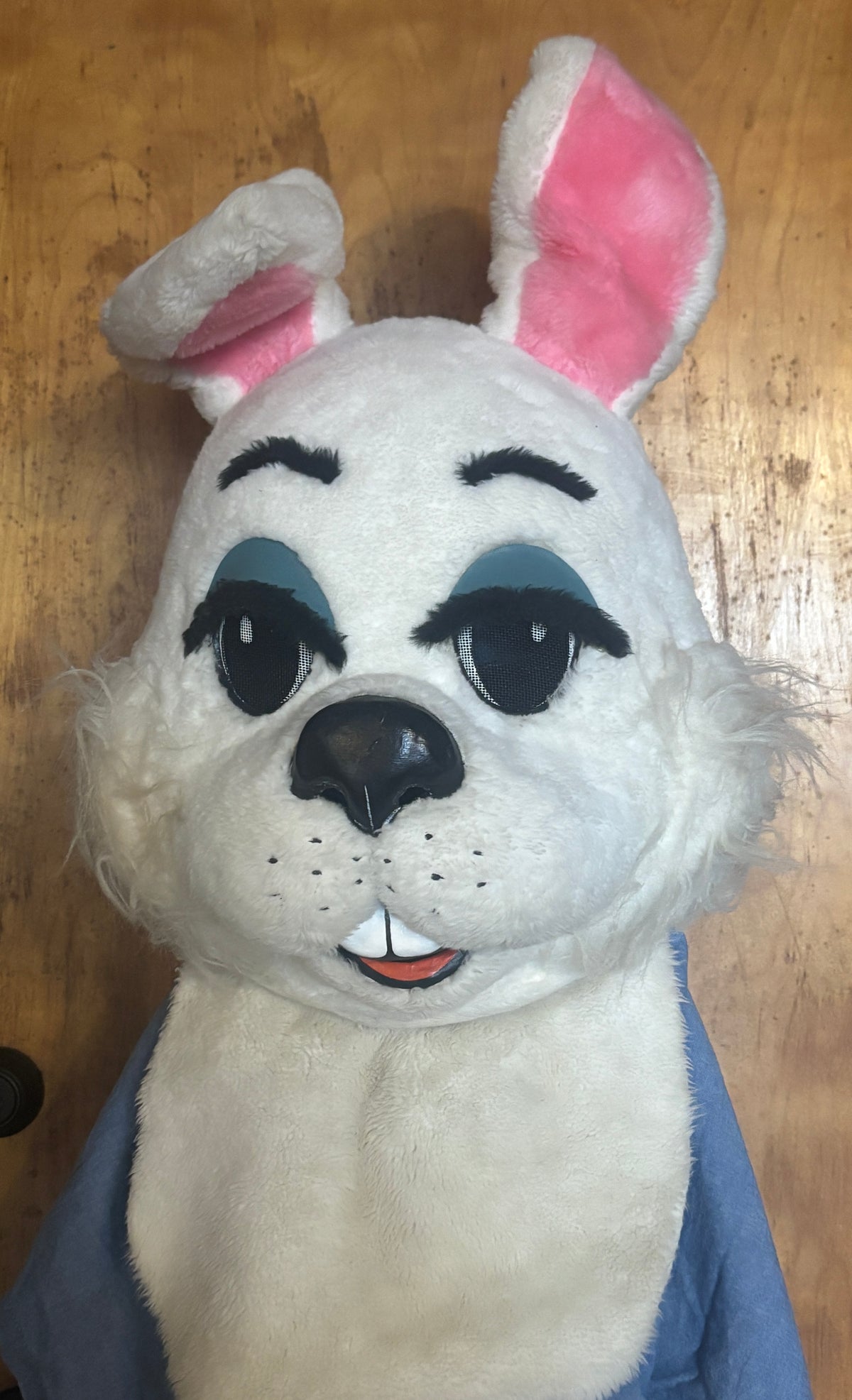 Deluxe Frosty the Snowman / Easter Bunny Costume - Adult